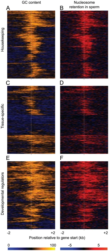 GC-content predicts sperm nucleosome retention at individual genes.
