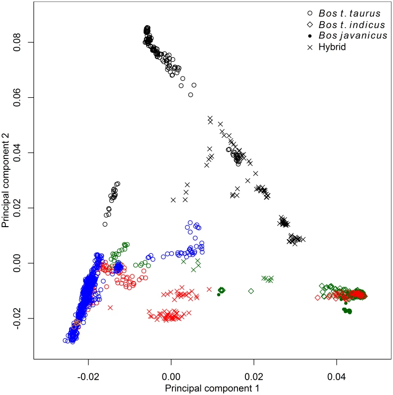 Principal component analysis of 1,543 animals genotyped with 43,043 SNPs.