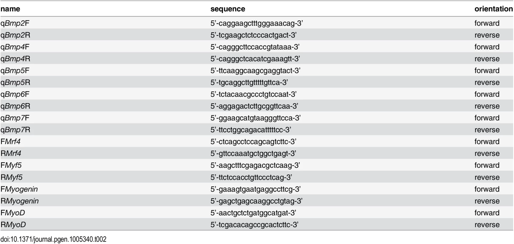 Primers used for quantitative real-time PCR.