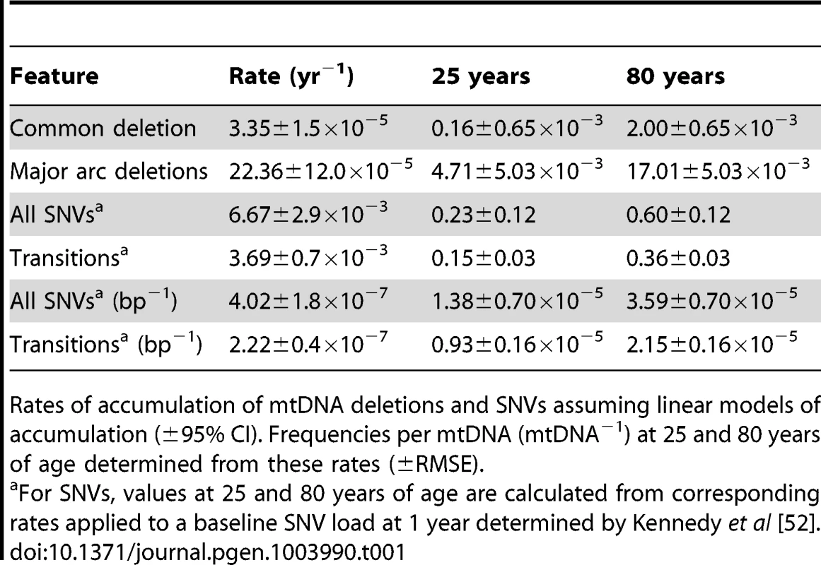 Rates of accumulation and loads of mtDNA rearrangements and SNVs.