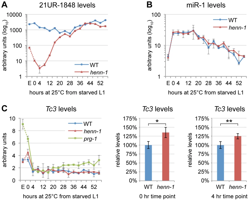 HENN-1 Stabilizes 21U RNAs.