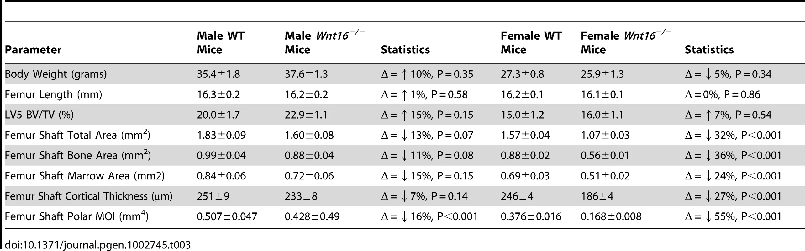 Body weight, femoral length, and MicroCT data in <i>Wnt16<sup>−/−</sup></i> mice, males (WT = 9; <i>Wnt16<sup>−/−</sup></i> = 11) and females (WT = 24, <i>Wnt16<sup>−/−</sup></i> = 16).
