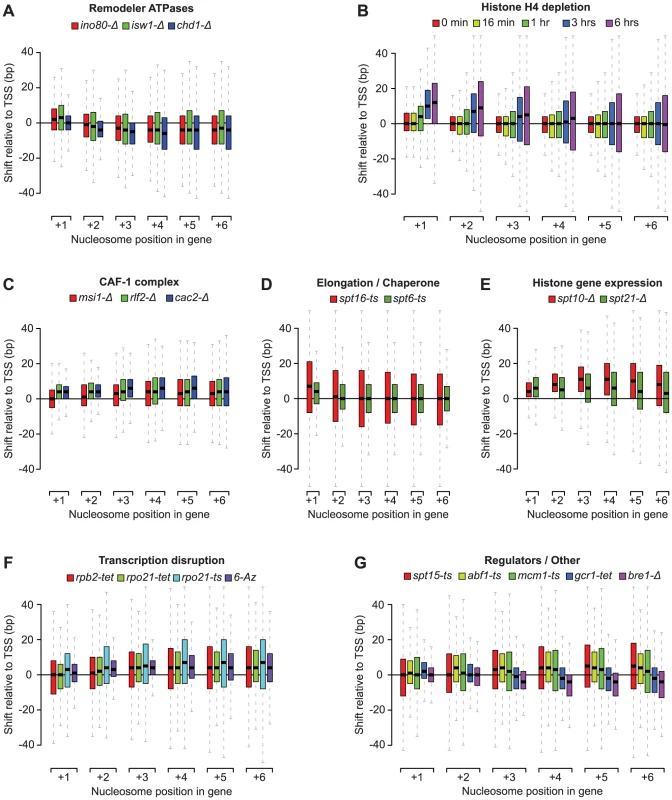 Profiles of genic nucleosome shifts.