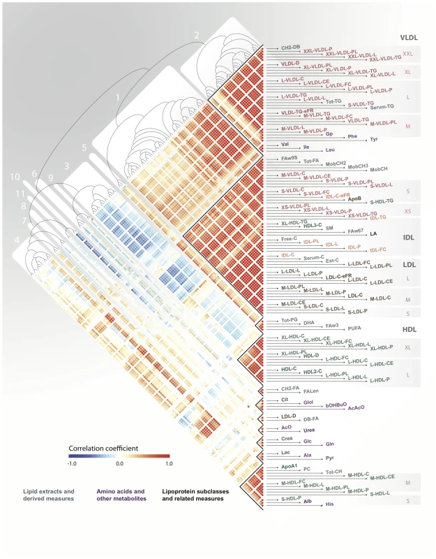 Serum metabolic networks.