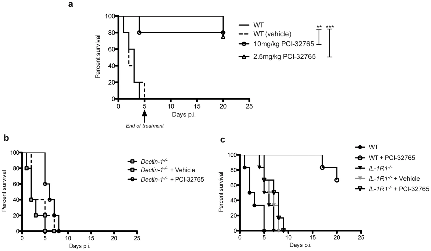 Chemical-genetic inhibition of Tec rescues mice from fatal fungal sepsis.