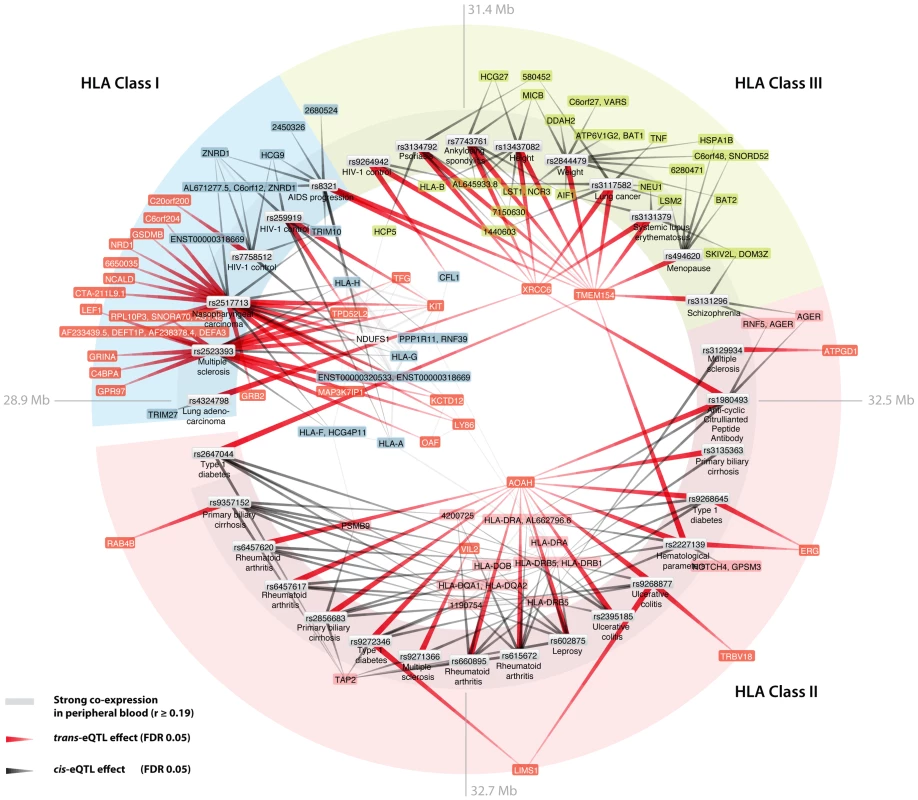 Human leukocyte antigen (HLA) trait-associated SNPs affect gene expression levels in <i>trans</i>.