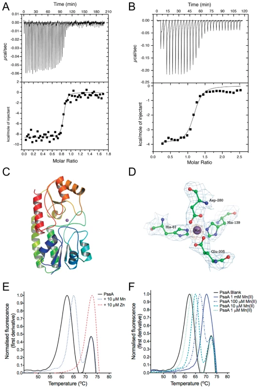 Biophysical characterization of purified PsaA.
