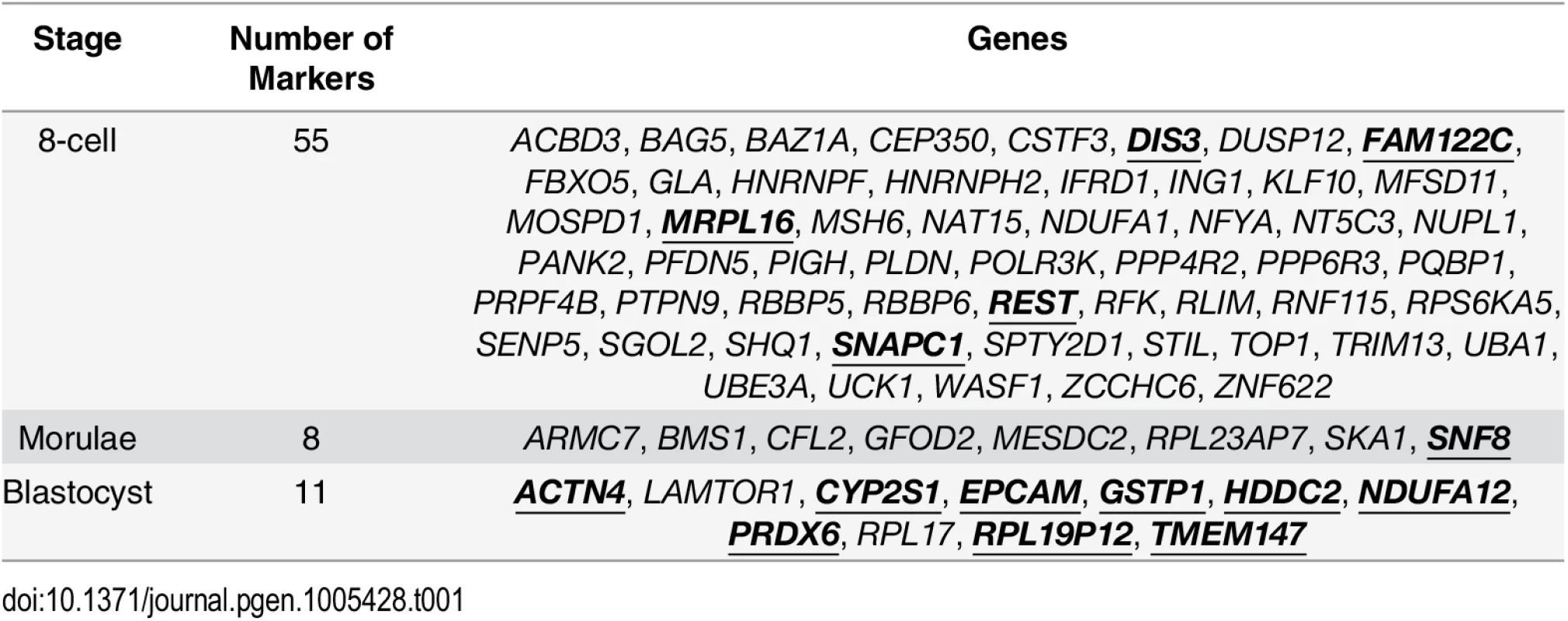Putative variability markers identified for each stage based on changes in gene expression variability.