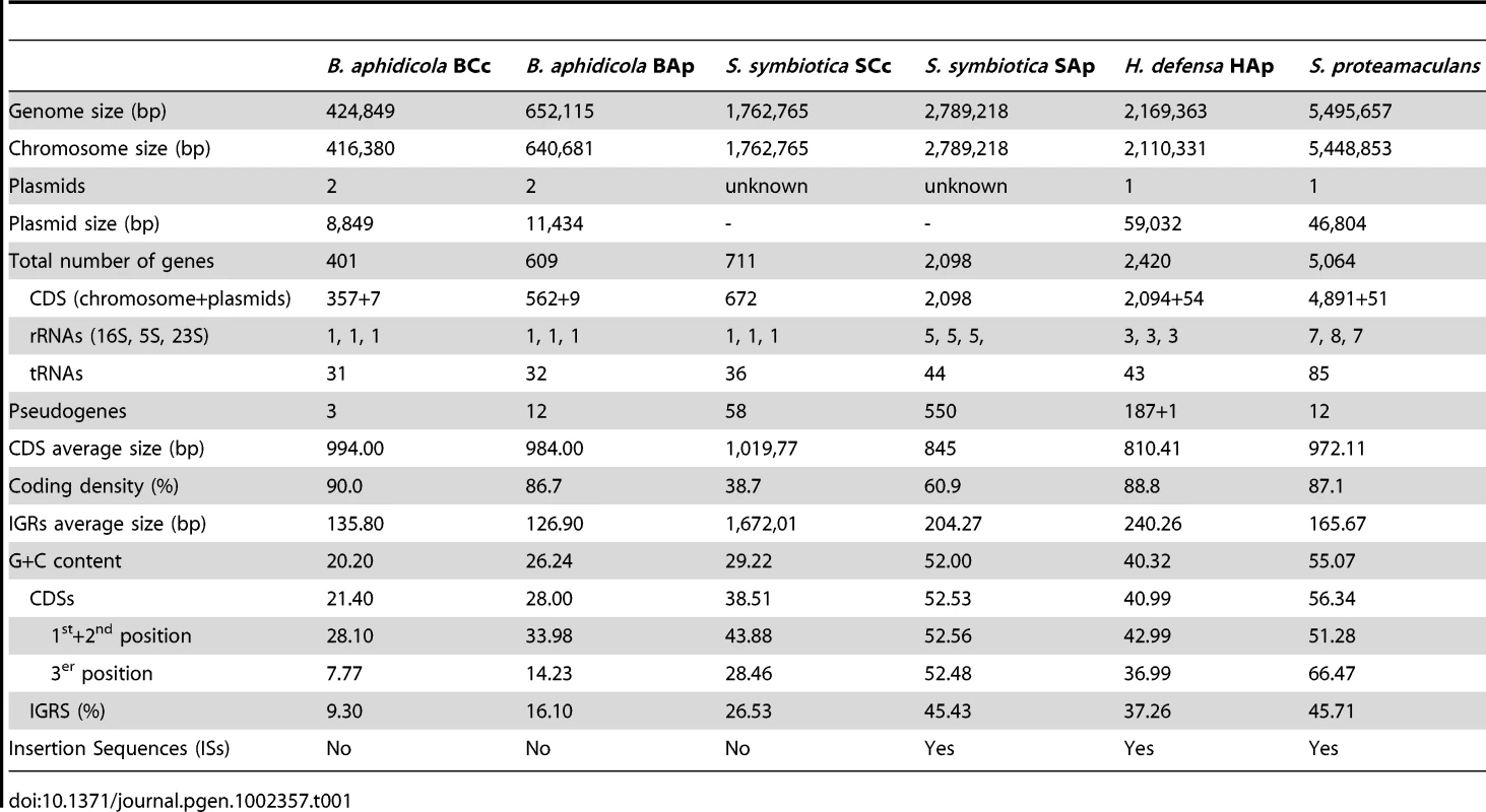 Comparison of <i>S. symbiotica</i> SCc genome features to those of obligate (<i>B. aphidicola</i> BCc and <i>B. aphidicola</i> BAp, from <i>C. cedri</i> and <i>A. pisum</i>, respectively) and facultative (<i>S. symbiotica</i> SAp, and <i>H. defensa</i> HAp, both from <i>A. pisum</i>) endosymbionts, and a free-living bacterial genome (<i>S. proteamaculans</i>).
