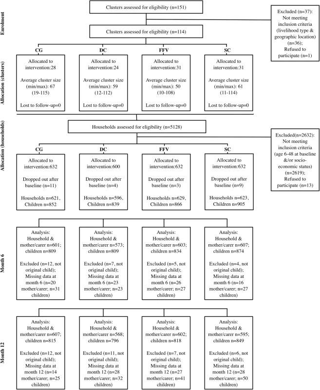 CONSORT flowchart for the study participants.