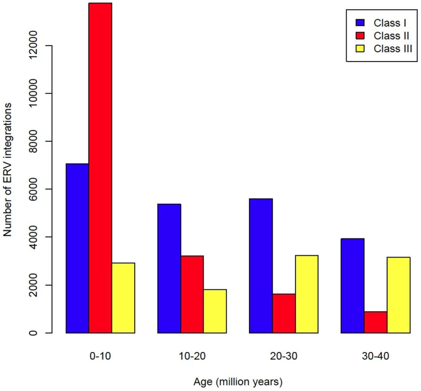 Age distribution of ERVs by class.