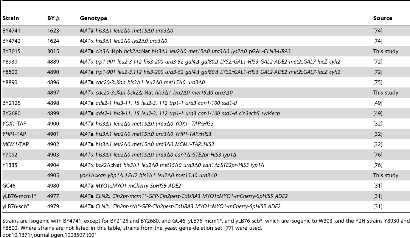 <i>Saccharomyces cerevisiae</i> strains used in this study.