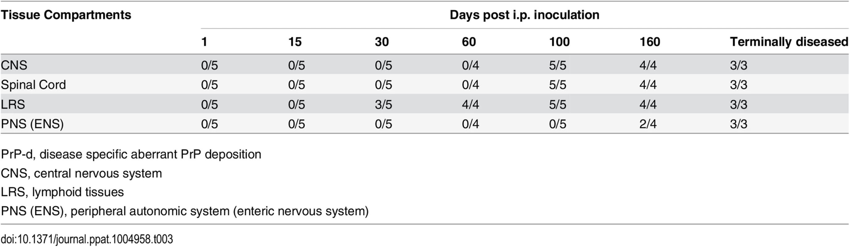 Temporal sequence of PrP-d accumulation in various tissues after i.p. rec-Prion inoculation (PrP-d positive samples / Total samples examed).