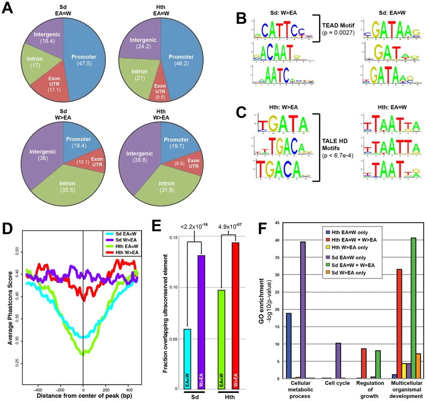 Comparison of tissue-shared and tissue-specific Sd and Hth binding.