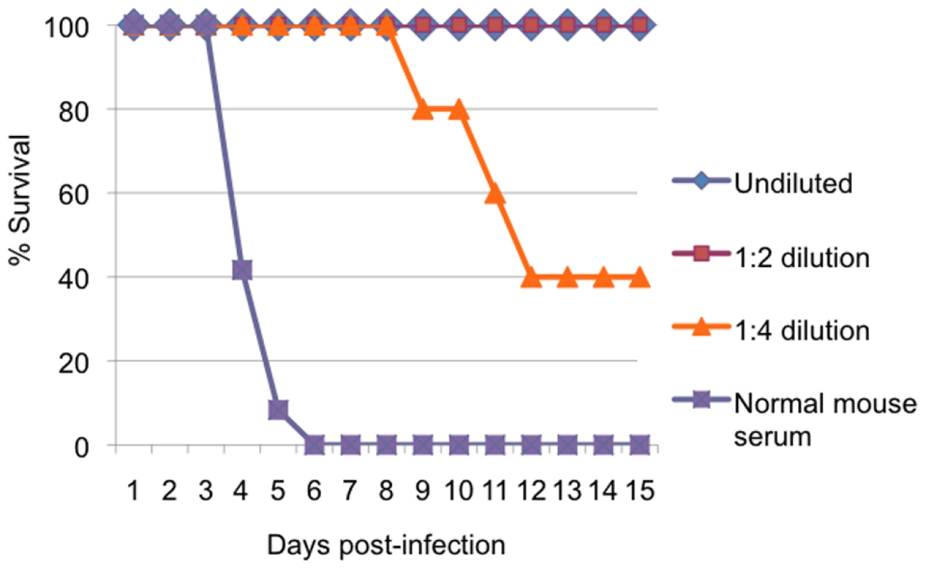 Protection of mice with passive transfer of immune serum.