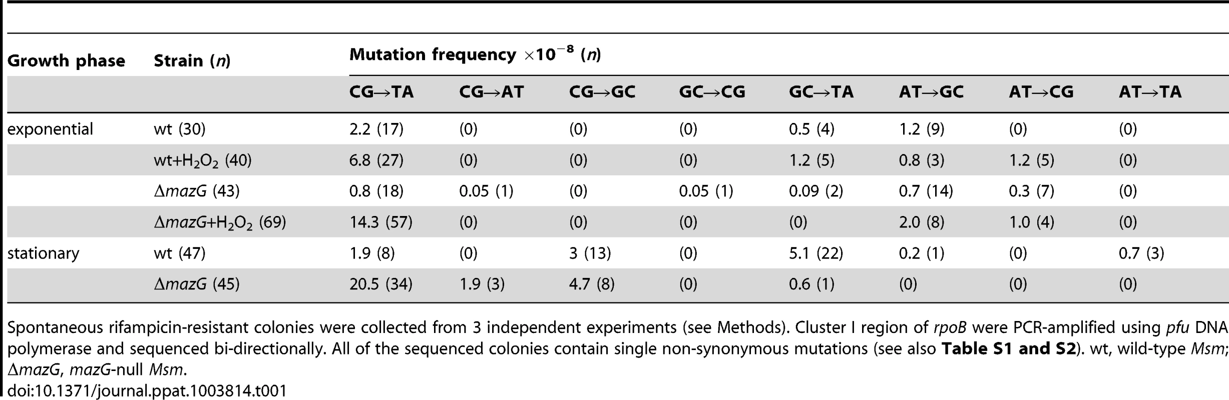 <i>mazG</i>-null <i>Msm</i> exhibited elevated CG to TA mutation under oxidative stress conditions and in the stationary phase of growth.