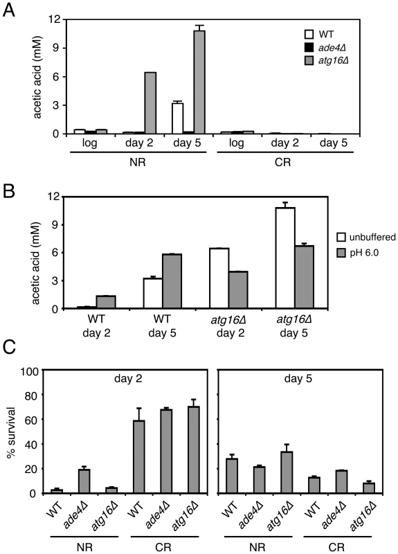 CLS mutants affect acetic acid secretion and resistance.