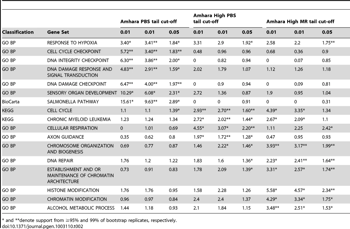 Biological pathways for which a significant excess of genic relative to all other genic SNPs are observed for all three tail cut-offs of the Amhara PBS, Amhara High PBS, or Amhara High MR distributions, respectively.