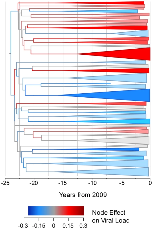 The estimated node effect plotted onto the phylogeny.