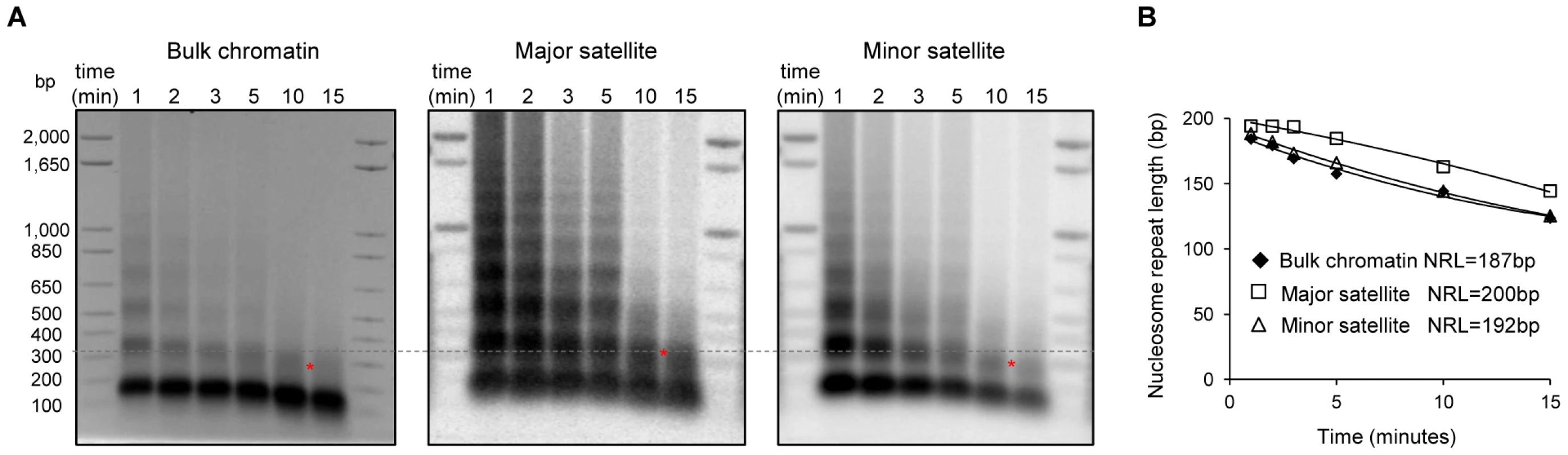 Increased nucleosome repeat length at major satellite repeats in ESCs.