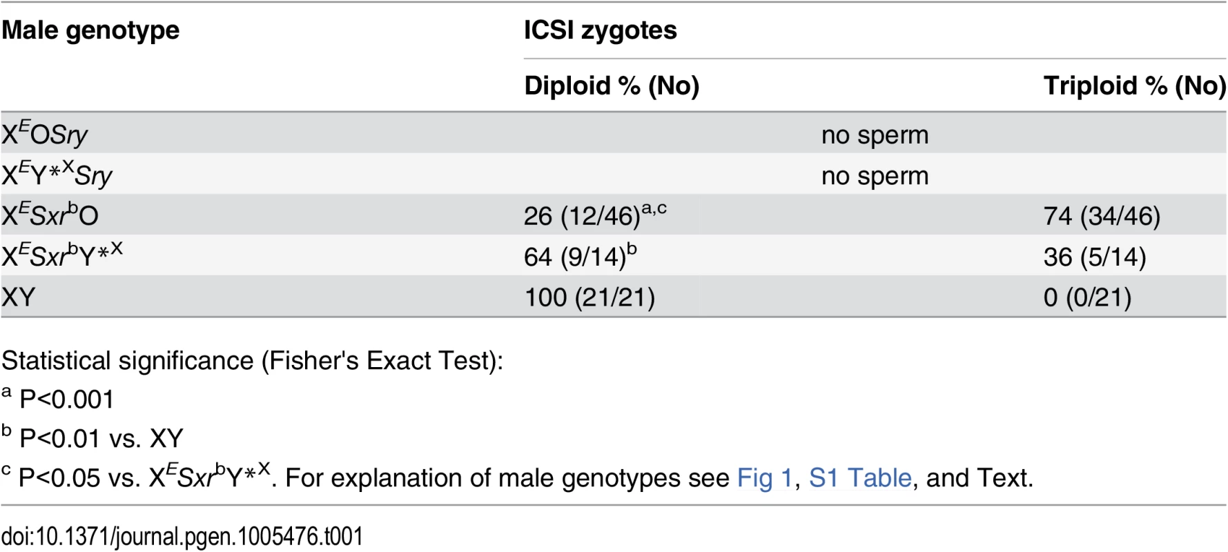 Zygotic chromosome analysis after ICSI with sperm from X<sup><i>E</i></sup><i>Sxr</i><sup>b</sup>O and X<sup><i>E</i></sup><i>Sxr</i><sup><i>b</i></sup>Y*<sup>X</sup> males.