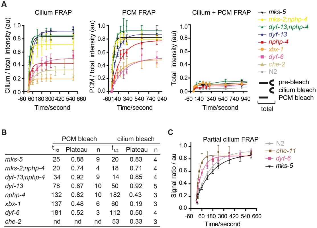 FRAP analysis of ARL-13 exchange dynamics between ciliary and periciliary membrane compartments in IFT and TZ gene mutants.