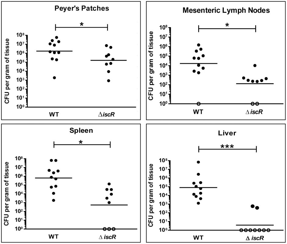 IscR is required for full virulence of <i>Y. pseudotuberculosis</i>.