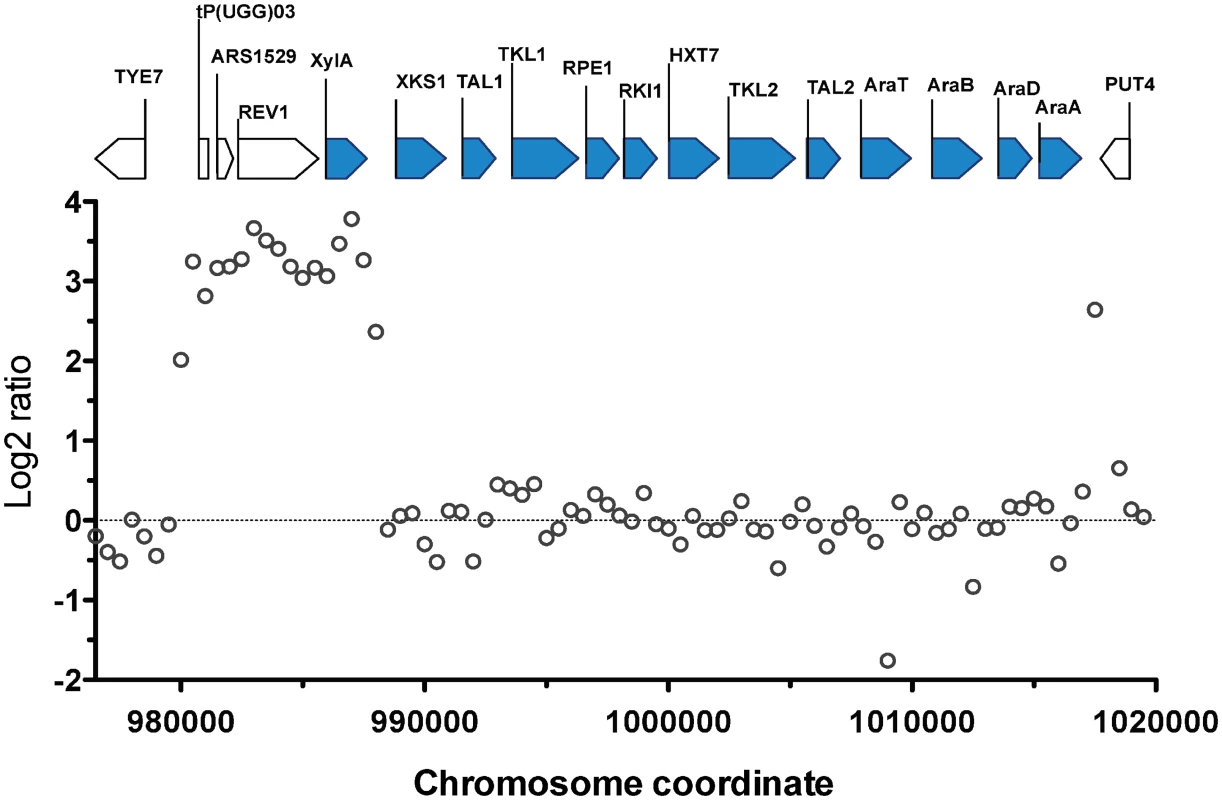 Comparison of the xylose cassette sequence coverage between the parent strain HDY.GUF5 and evolved strain GS1.11–26.