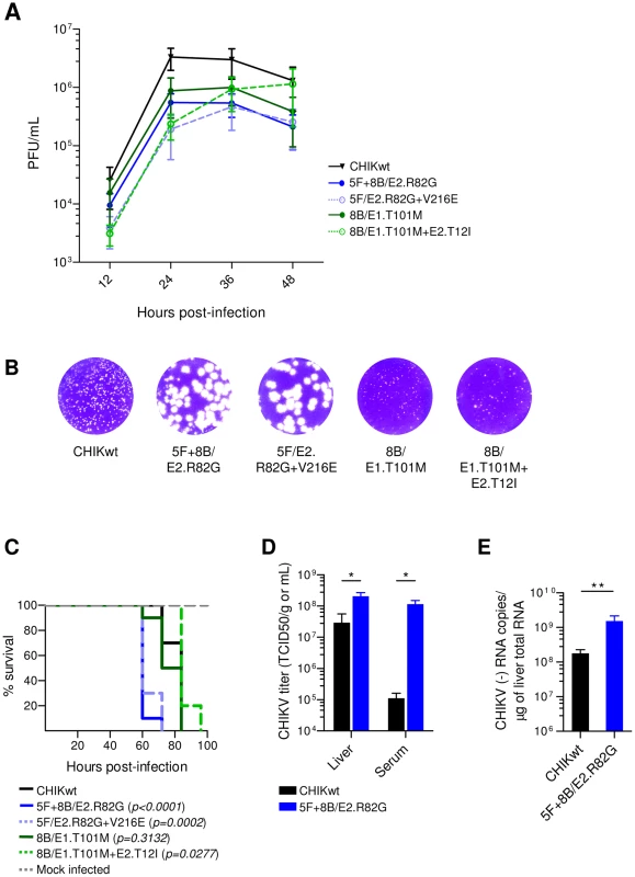 Viral fitness of CHIKV neutralization-escape mutants.