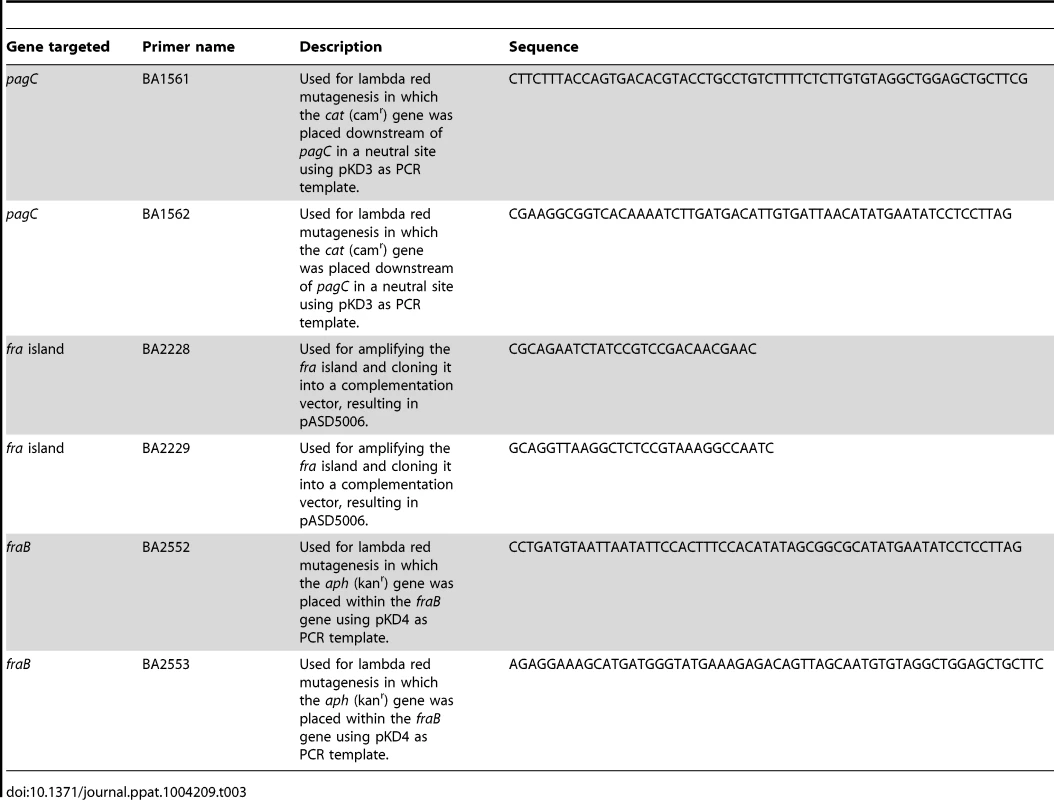 Oligonucleotides used.