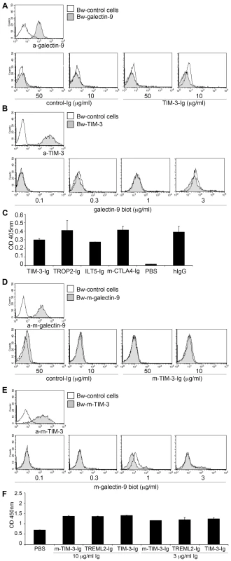 TIM-3 does not interact with galectin-9.