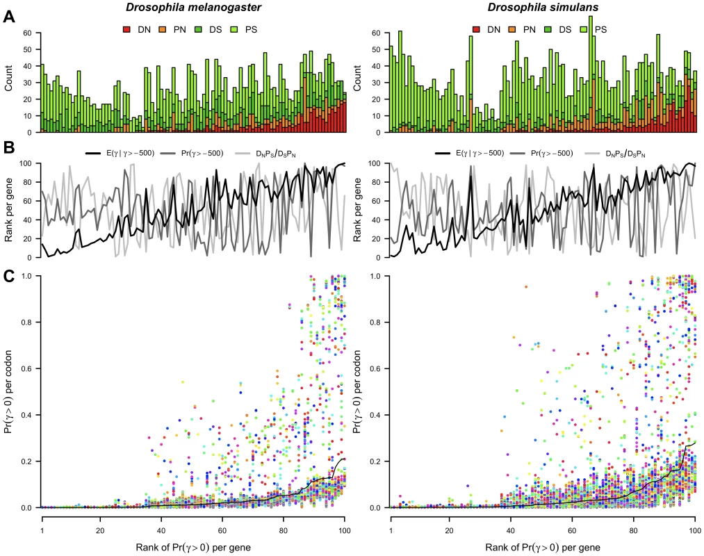 The posterior probability of positive selection across genes and codons.