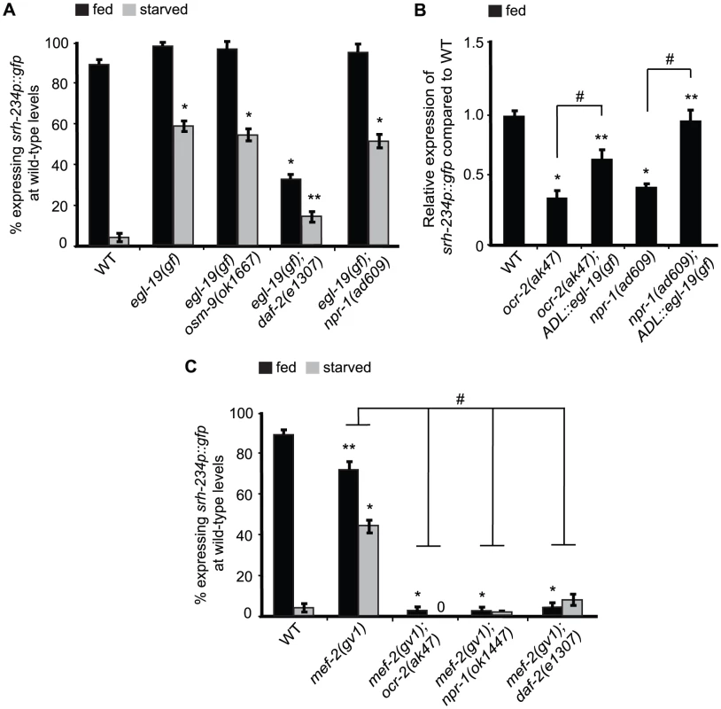 <i>mef-2</i> mutations and increased calcium signaling suppress the starvation-induced downregulation of <i>srh-234</i> expression.