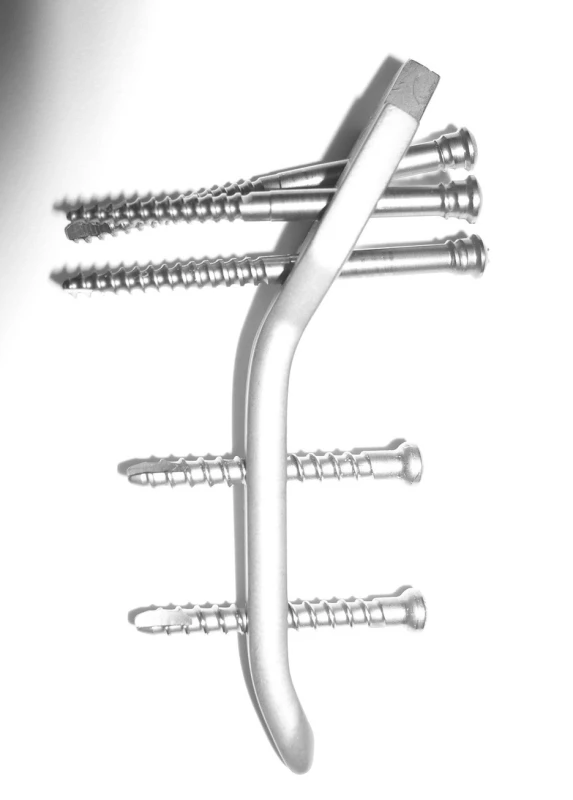Hřeb Targon DR
Fig. 1. The Targon DR nail