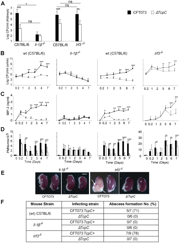 Effects of TcpC virulence in <i>Il-1β<sup>−/−</sup> and <b><i>Irf3<sup>−/−</sup></i></b> mice infected with CFT073 or Δ</i><i>TcpC</i>.