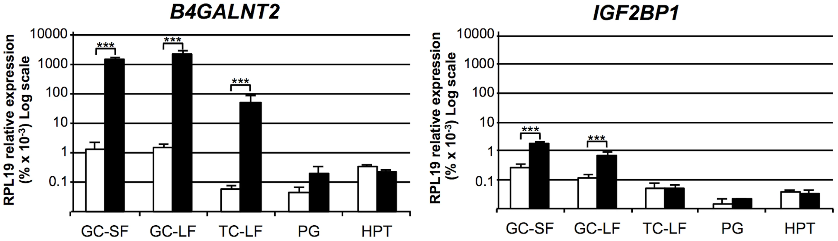 Expression of genes within the minimal FecL locus.