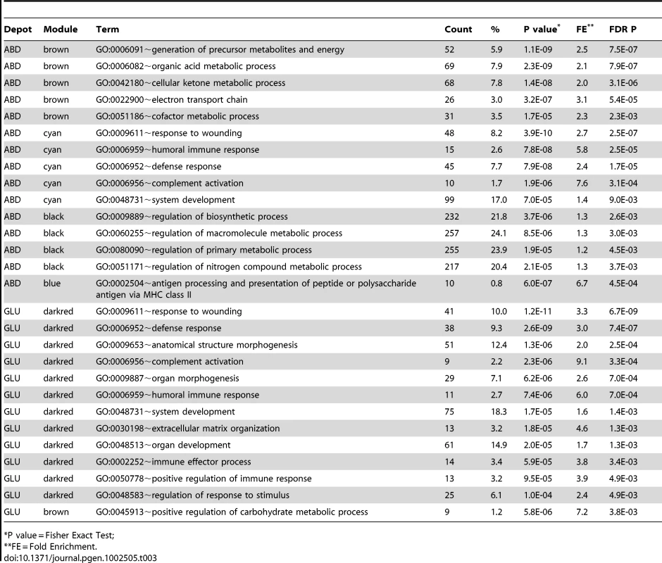 Biological Processes GO terms were significantly enriched (FDR P<0.01) in 15 modules associated with MetS in ABD and GLU.