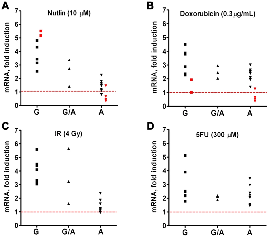 Ability of p53 to drive <i>TLR8</i> expression in primary human cells depends on SNP in p53 response element of <i>TLR8</i> promoter.