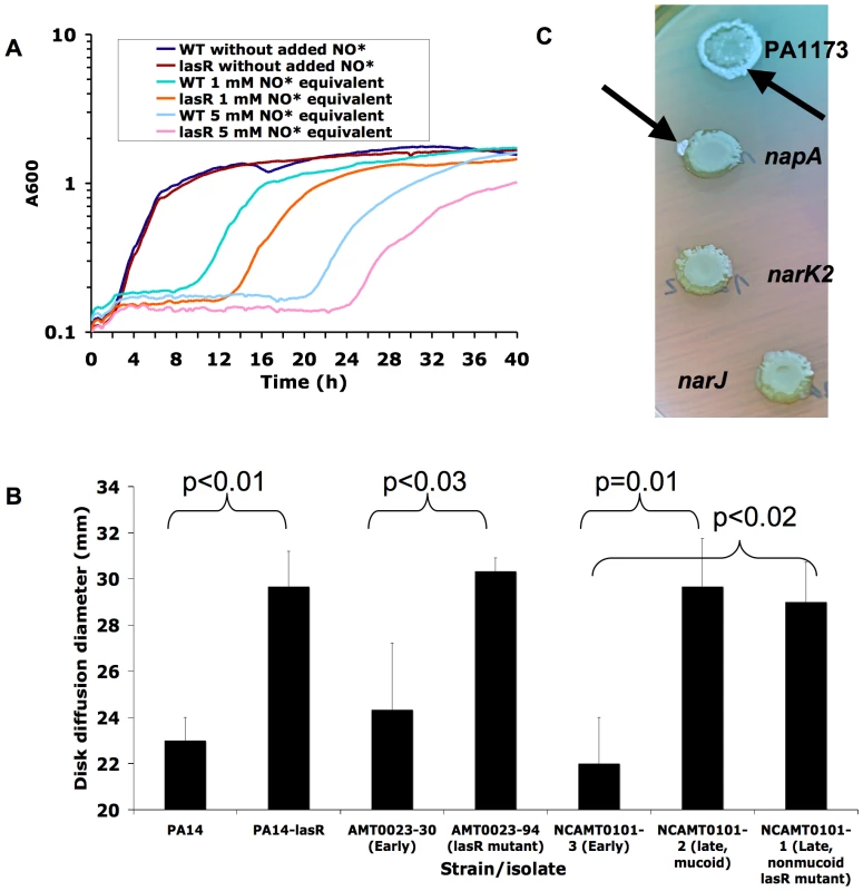 Mutation in <i>lasR</i> confers increased susceptibility to nitrosative stress, including acidified NO<sub>2</sub><sup>−</sup>.