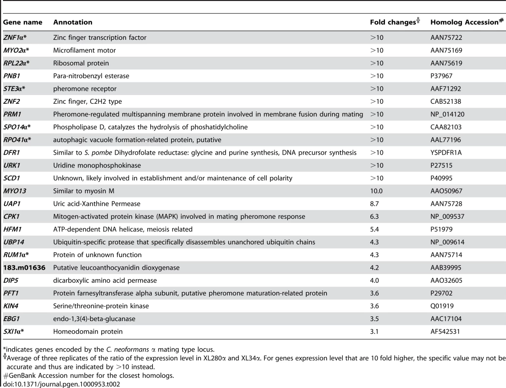 Genes highly expressed during filamentous growth in XL280α versus in XL34α.