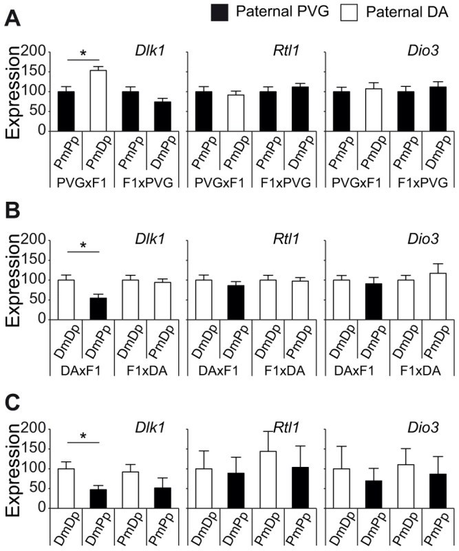 Paternally transmitted PVG allele at the Dlk1 locus predisposes for lower Dlk1 expression.