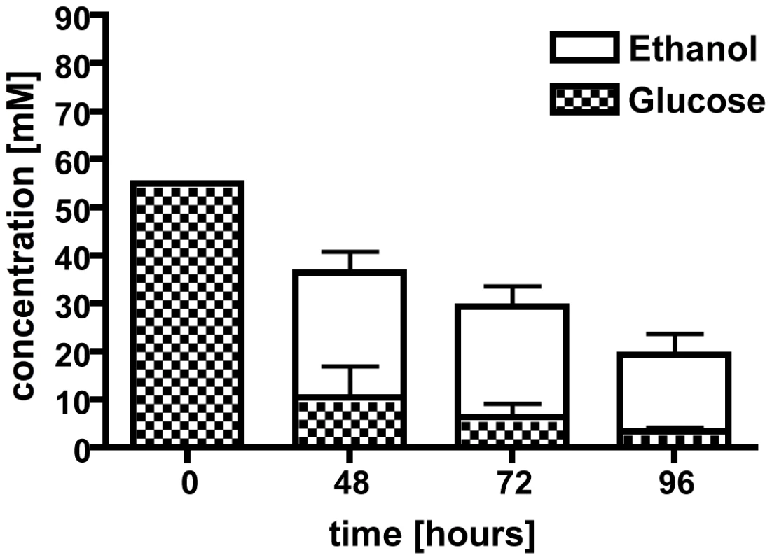 Culture supernatants were used in a high performance liquid chromatography (HPLC) analysis to determine ethanol production and glucose consumption.