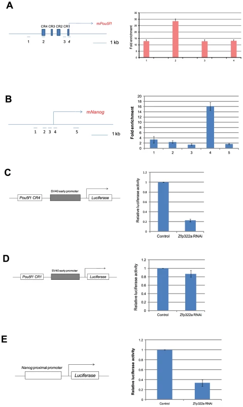 Zfp322a positively regulates <i>Oct4</i> and <i>Nanog</i> transcription.
