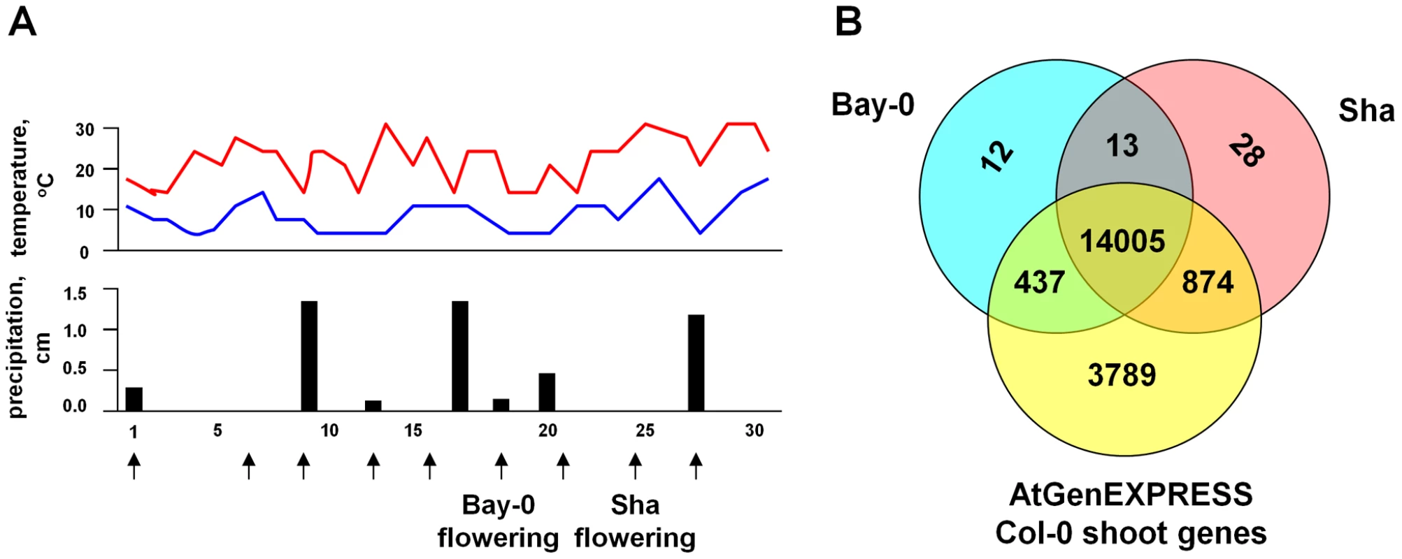 Field environmental conditions and total gene expression in <i>A. thaliana</i>.