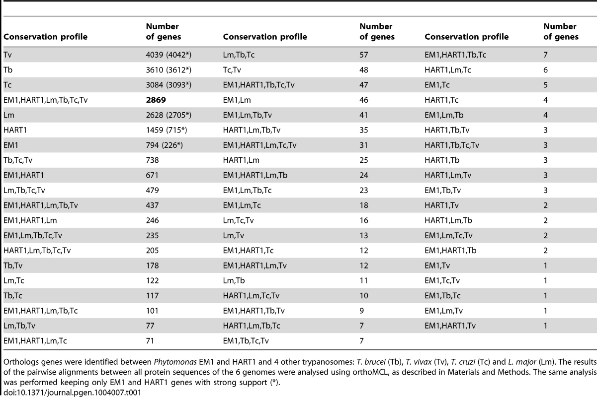 Gene conservation among Kinetoplastidae.