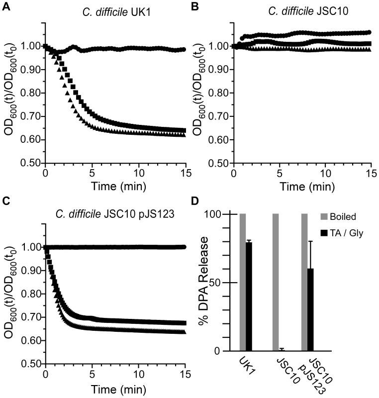 <i>C.</i> <i>difficile cspC</i> is essential for bile acid-mediated spore germination.