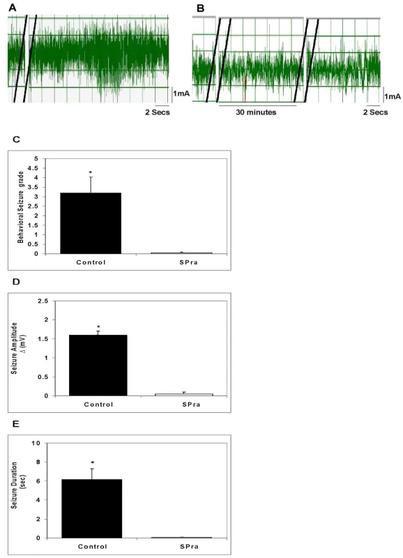 Effect of SP receptor antagonist (SPra) pre-treatment on granuloma extract-induced seizure activity in rats.
