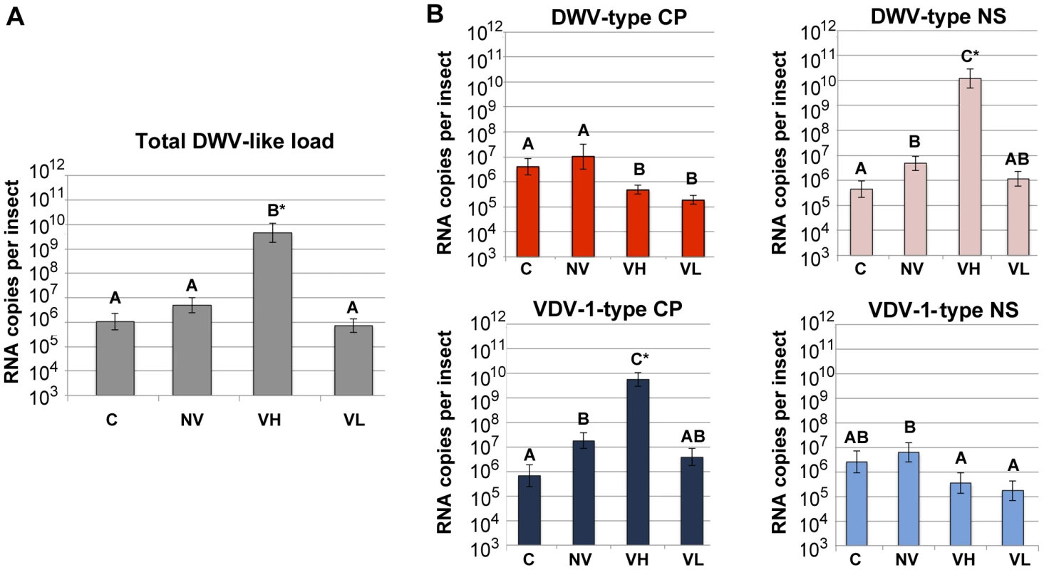 Total and strain-specific virus genome quantification in honeybee pupae.