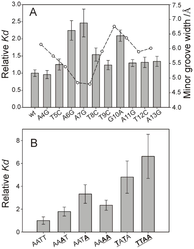 Minor groove shape serves as a signature for CT-Ler/DNA recognition.