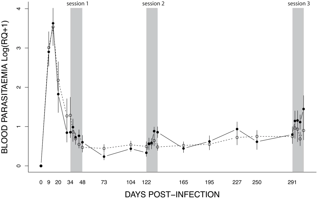 Dynamics of blood parasitaemia (Log(RQ+1), mean ± s.e.) of <i>Plasmodium relictum</i> (lineage SGS1) in birds that were either unexposed (open circles, dashed line) or exposed to mosquito bites (filled circles, solid line).
